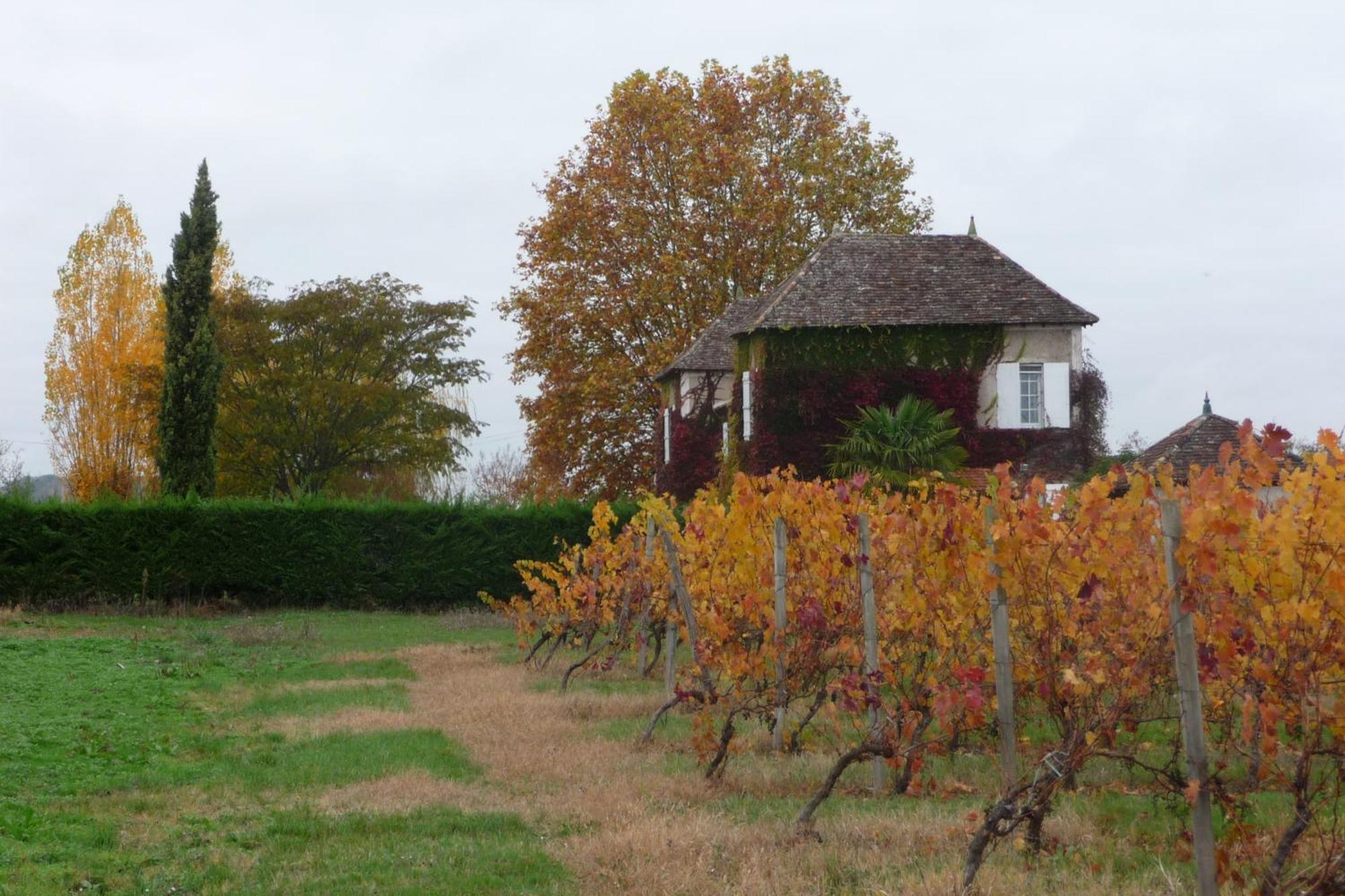 Domaine De La Queyssie Bed & Breakfast Saussignac Exterior foto