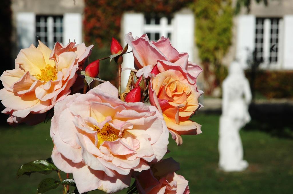 Domaine De La Queyssie Bed & Breakfast Saussignac Exterior foto