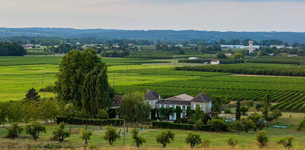 Domaine De La Queyssie Bed & Breakfast Saussignac Exterior foto